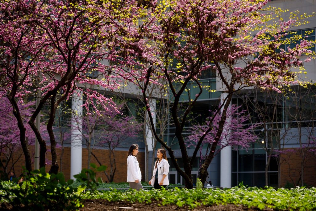 Medical students Brooke Liang and Margery Gang visit during a warm spring day in Hope Plaza with pink flowering trees.